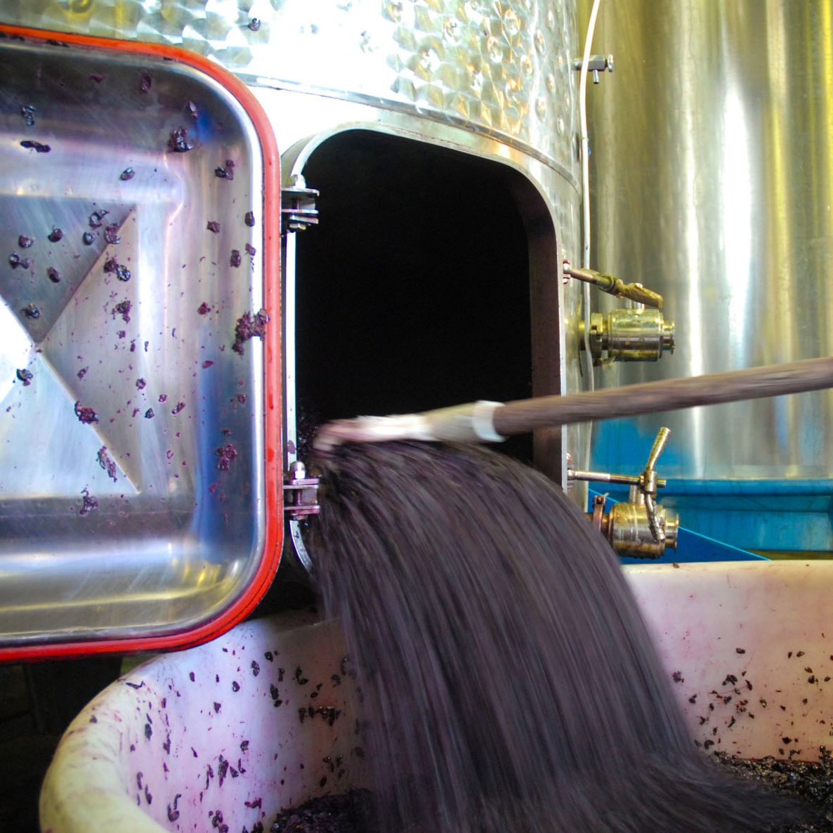 Pressing at Hevron Heights Winery
