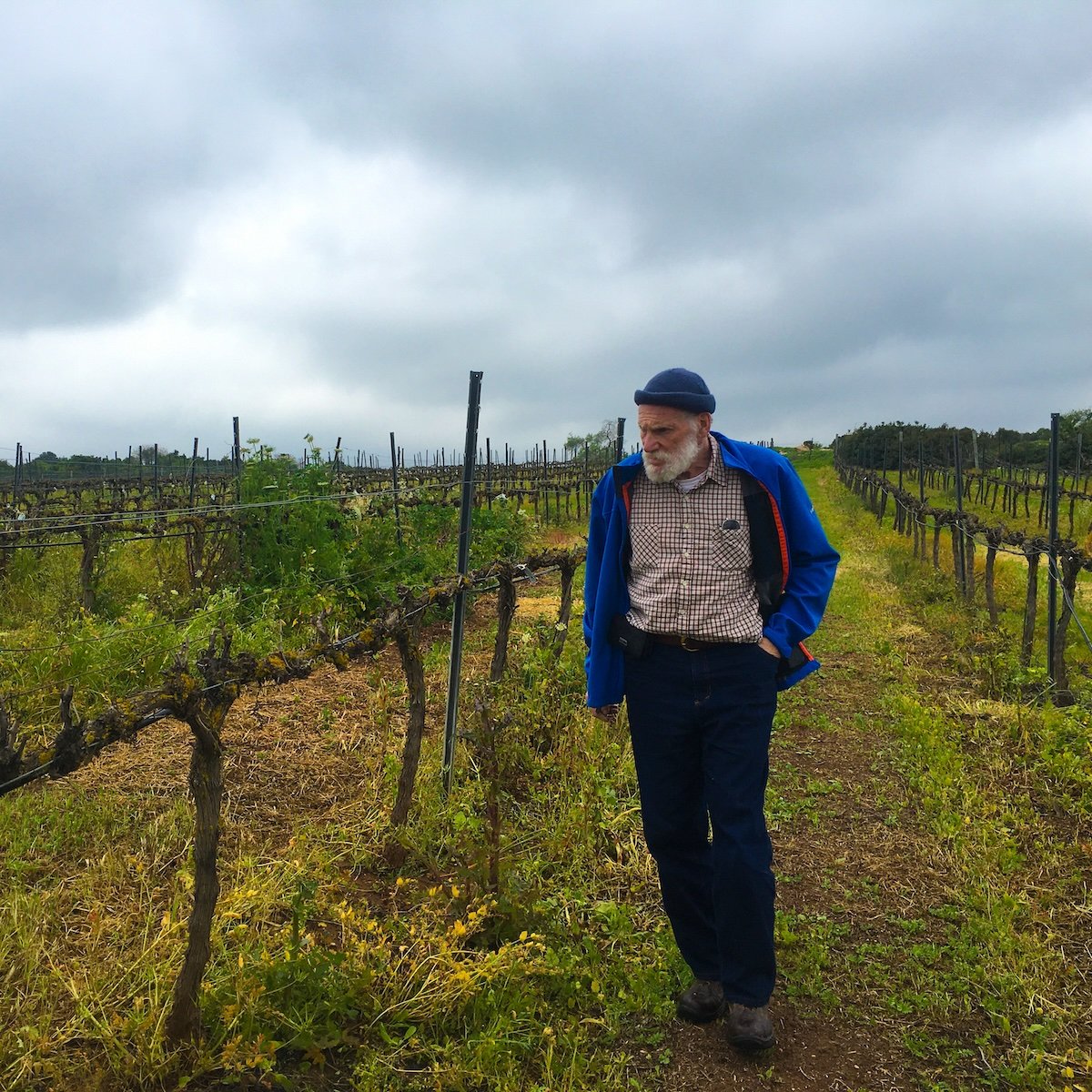 Hevron Heights Winery in the Vineyards